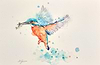 Successful Hunter- Kingfisher