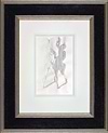 Bedroom Shadows (Framed)
