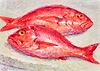 Red Snappers V