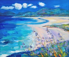 Harebells, Seilebost, Harris