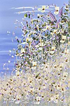 Coast In Bloom IV