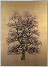 Woodland Beauty II (Framed)