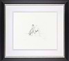 Dromedary from Animals in the Zoo, 1981 (Framed)