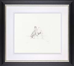 Dromedary from Animals in the Zoo, 1981 (Framed)