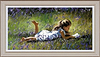 Poetry in the Meadow (Framed)