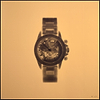 Gold Rolex Daytona