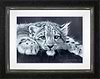 Snow Leopard Cub (Framed)