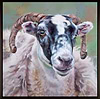 One of the Flock (Framed)
