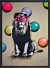 Observant Lion (Framed)