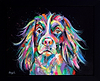 Spaniel