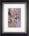 Kitty (Framed)