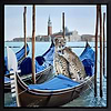 Venetian Romance (Framed)