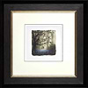 Bluebells (Study) (Framed)