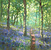 Dappled Light