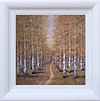 Amber Canopy (Framed)