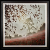 The Sunday Morning Bike Ride (Framed)