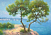 The Med