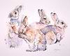 Summer Meadow - Rabbit Family