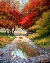 Lluvia en otoño