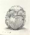 The Gift IV (Sketch)