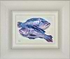 Black Seabass V (Framed)