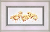 A Peep Of Chicks (Framed)