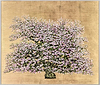 Napoleon Flowering Apple Blossom (Framed)