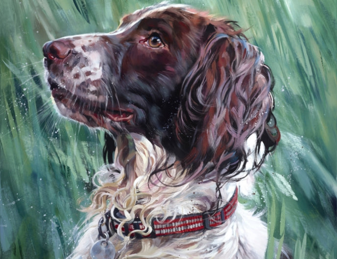 The Art of Animal Portraiture