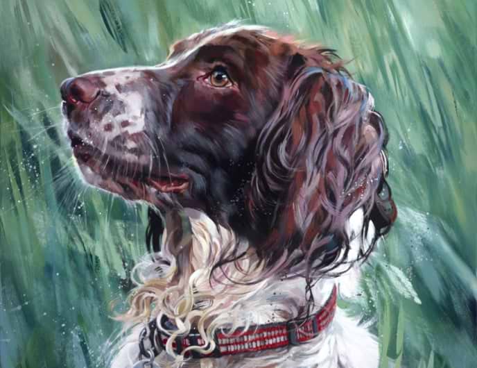 Chelsea Dog Day With Debbie Boon