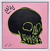 100 Skulls (13)