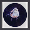 Long Tailed Tit Study I