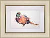 Fancy Pheasant