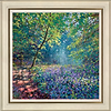 Bluebells