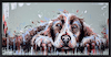 Spaniel Snoozes II