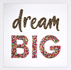 Dream Big