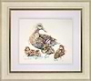 Young Mallard Family