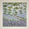 Bluebell Blooms VI