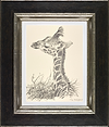 Baby Giraffe III