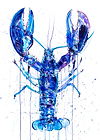 Blue Lobster