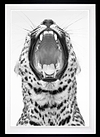 Never Change Your Spots