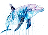 Dolphin III
