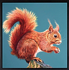 Rufus (Red Squirrel)