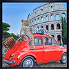 Roman Tourist