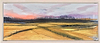 Fields Of Hope
