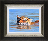 Tiger Cub Swimming