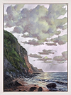 Untamed Coast