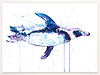 Swimming Penguin I