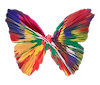 Butterfly Spin