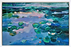 Lily Pond Light