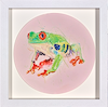 Tree Frog V